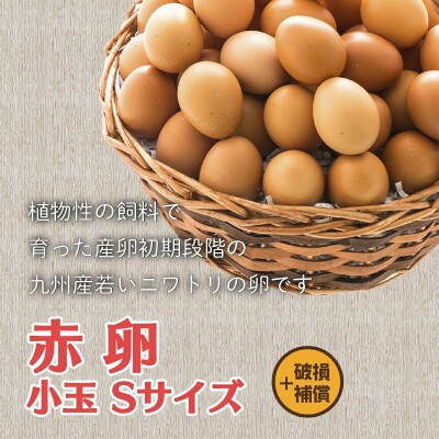 けいちゃんたまご　赤　Sサイズ 　200個