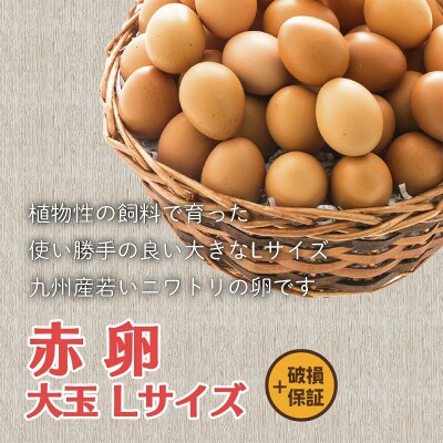 けいちゃんたまご　赤　Lサイズ 　70個