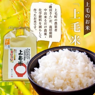 上毛町産の「たまごかけご飯セット」(卵20個・米2kg)(専用醤油なし版)