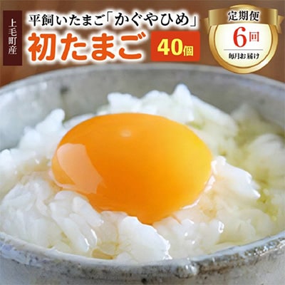【毎月定期便】かぐやひめ「初たまご」40個 全6回