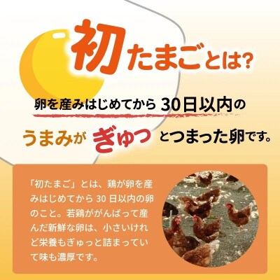 【毎月定期便】かぐやひめ「初たまご」40個 全6回