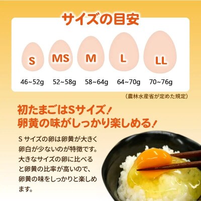 【毎月定期便】かぐやひめ「初たまご」40個 全6回