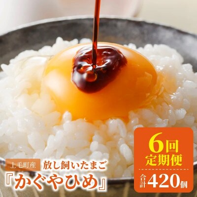 【毎月定期便】放し飼いたまご『かぐやひめ』70個 全6回