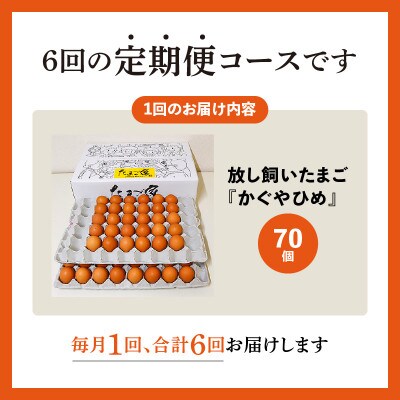 【毎月定期便】放し飼いたまご『かぐやひめ』70個 全6回