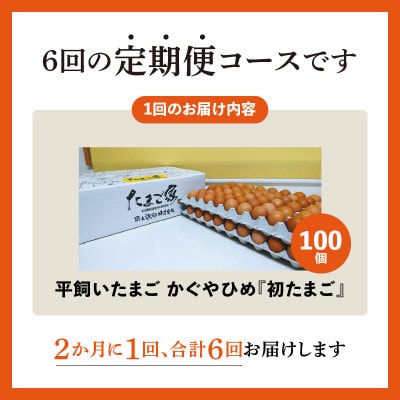 【2ヵ月毎定期便】かぐやひめ「初たまご」100個 全6回