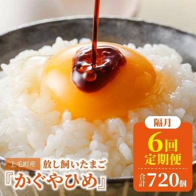 【2ヵ月毎定期便】放し飼いたまご『かぐやひめ』120個 全6回