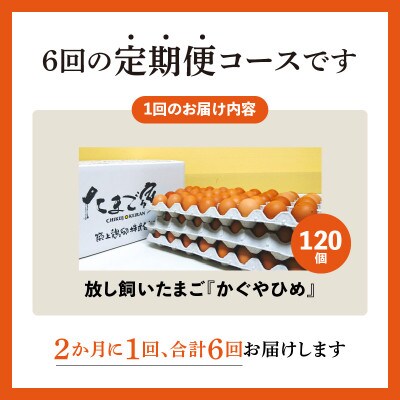 【2ヵ月毎定期便】放し飼いたまご『かぐやひめ』120個 全6回