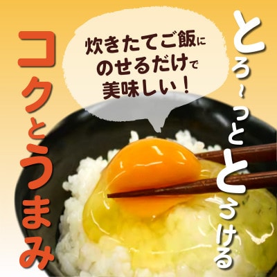 【2ヵ月毎定期便】放し飼いたまご『かぐやひめ』150個 全6回