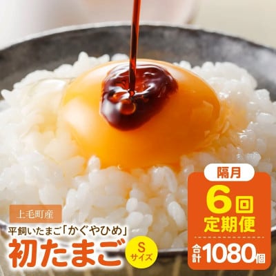 【2ヵ月毎定期便】かぐやひめ「初たまご」180個 全6回