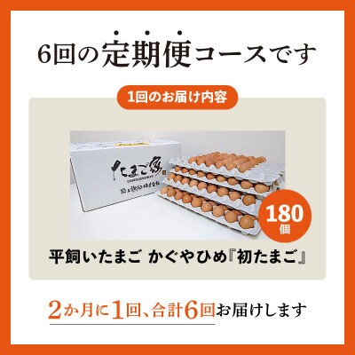 【2ヵ月毎定期便】かぐやひめ「初たまご」180個 全6回