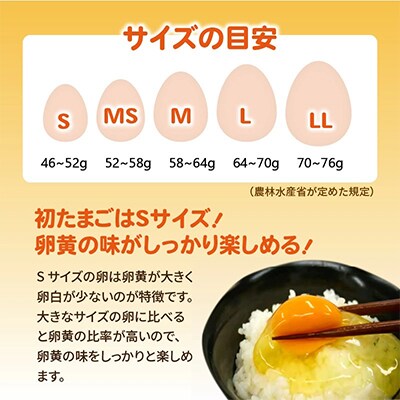 【2ヵ月毎定期便】かぐやひめ「初たまご」180個 全6回