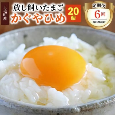 【毎月定期便】放し飼いたまご『かぐやひめ』20個　全6回