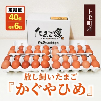 【毎月定期便】放し飼いたまご『かぐやひめ』40個　全6回
