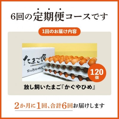 【2ヵ月毎定期便】放し飼いたまご『かぐやひめ』120個　全6回