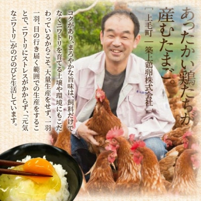 【2ヵ月毎定期便】放し飼いたまご『かぐやひめ』120個　全6回