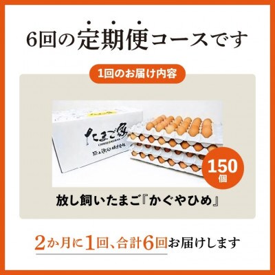【2ヵ月毎定期便】放し飼いたまご「かぐやひめ」150個　全6回