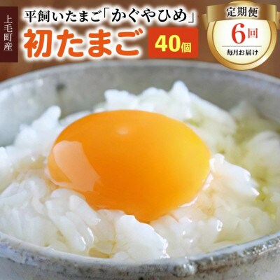 【毎月定期便】かぐやひめ「初たまご」40個　全6回