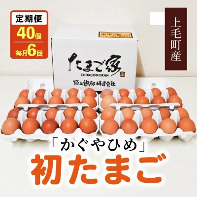 【毎月定期便】かぐやひめ「初たまご」40個　全6回