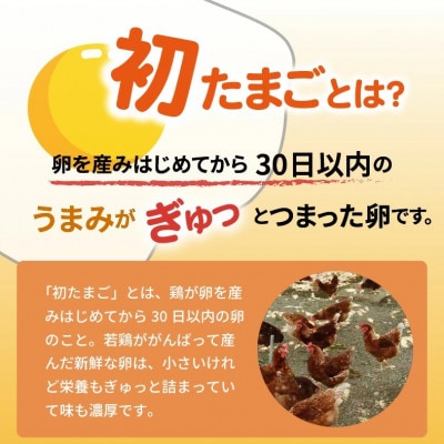 【2ヵ月毎定期便】かぐやひめ「初たまご」180個　全6回