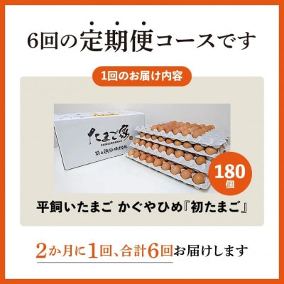 【2ヵ月毎定期便】かぐやひめ「初たまご」180個　全6回
