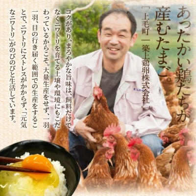 【2ヵ月毎定期便】かぐやひめ「初たまご」180個　全6回