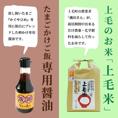 【毎月定期便】たまごかけご飯セット(卵20個・米2kg・専用醤油)全6回