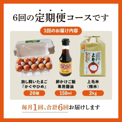 【毎月定期便】たまごかけご飯セット(卵20個・米2kg・専用醤油)全6回