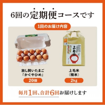 【毎月定期便】上毛町産の「たまごかけご飯セット」(卵20個・米2kg)(専用醤油なし版)全6回