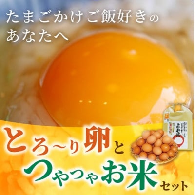 【毎月定期便】上毛町産の「たまごかけご飯セット」(卵40個・米3kg)(専用醤油なし版)全6回