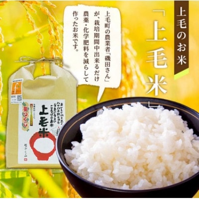 【毎月定期便】上毛町産の「たまごかけご飯セット」(卵40個・米3kg)(専用醤油なし版)全6回