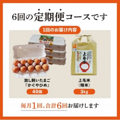 【毎月定期便】上毛町産の「たまごかけご飯セット」(卵40個・米3kg)(専用醤油なし版)全6回