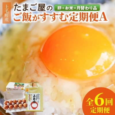 【毎月定期便】たまご屋の「ご飯がすすむ定期便A」(卵20個・米2kg・月替わり品)全6回