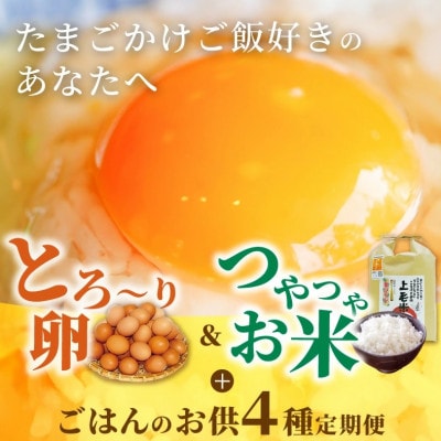 【毎月定期便】たまご屋の「ご飯がすすむ定期便A」(卵20個・米2kg・月替わり品)全6回