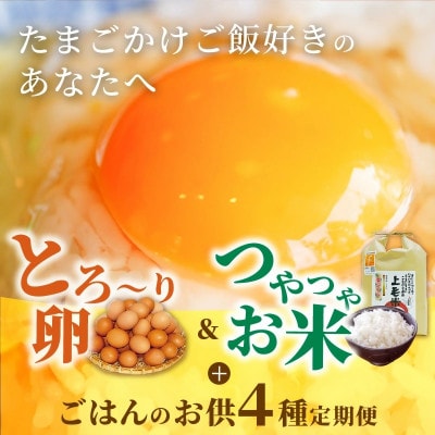 【毎月定期便】たまご屋の「ご飯がすすむ定期便B」(卵40個・米3kg・月替わり品)全6回