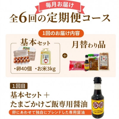 【毎月定期便】たまご屋の「ご飯がすすむ定期便B」(卵40個・米3kg・月替わり品)全6回