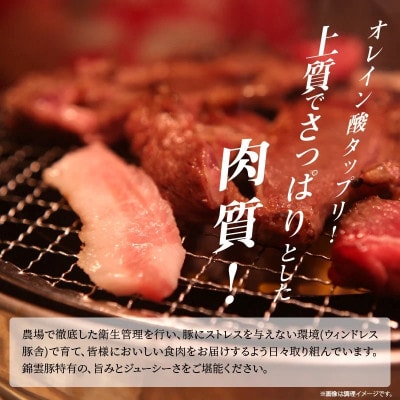 【ブランド豚肉】お米育ちの錦雲豚　焼肉ギフト　600g(ロース300g・バラ300g)