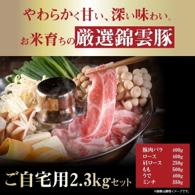 【ブランド豚肉】お米育ちの錦雲豚　ご自宅用2.3kgセット