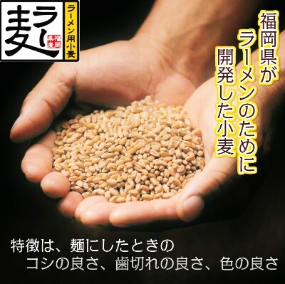 福岡県産ラー麦　博多生ラーメン　とんこつ味(100g×10食入)