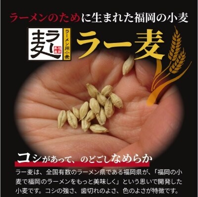 福岡県産ラー麦　担々麺(120g×8食入)