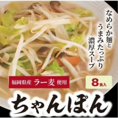 福岡県産ラー麦 ちゃんぽん(100g&times;8食入)