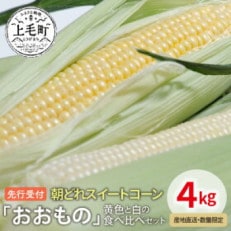 先行受付　朝どれスイートコーン「おおもの」黄色と白の食べ比べセット4kg【産地直送・数量限定】