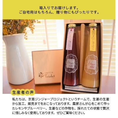 【上毛町産ブルーベリー&レモン使用】ジンジャーシロップ2本セット
