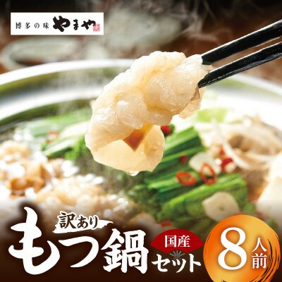 訳あり やまやのもつ鍋 あごだし醤油味 8人前(もつ400g×2、スープ200g×2)