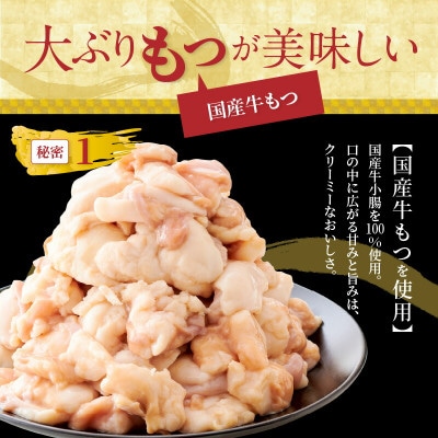 訳あり やまやのもつ鍋 あごだし醤油味 8人前(もつ400g×2、スープ200g×2)