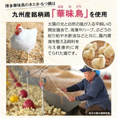 博多華味鳥の水炊き・もつ鍋セット