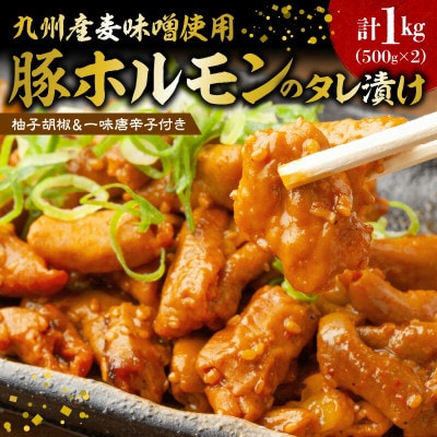 【九州産麦味噌使用】国産豚ホルモンのタレ漬け 1kg(500g×2)　柚子胡椒&一味唐辛子付き