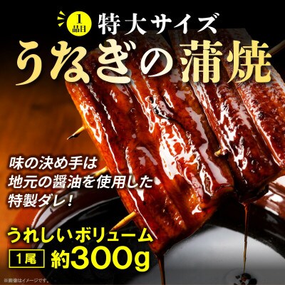 うなぎの蒲焼(1尾)とねぎ塩牛タン(250g)のセット