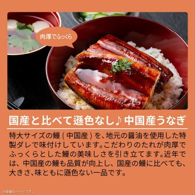 うなぎの蒲焼(1尾)とねぎ塩牛タン(250g)のセット