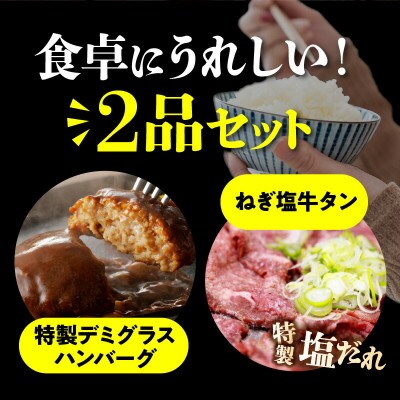 特製デミハンバーグ10個とねぎ塩牛タン(250g)のセット