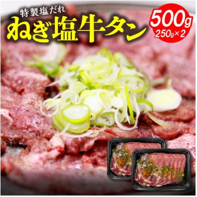 ねぎ塩牛タン500g(250g×2)